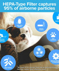 Infographic of HEPA-Type filter benefits, including dust, bacteria, and viruses, with a dog in a cozy setting in the background.