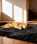Cat lying on 36x48 Inch Office Chair Mat for Hardwood Floors Non Slip Desk Rug in sunny living room.