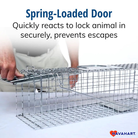 Medium One Door Live Catch Humane Trap For Rabbits Skunks Minks And Squirrels With Smooth Internal Edges And A Handle Guard