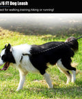 Border collie on 2 Pack Heavy Duty Dog Leashes With Padded Handle And Reflective Nylon Rope For Small Medium And Large Dogs.
