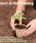 Hands planting seedling in 40 Pcs 3.15 Inch Biodegradable Peat Pots For Seedlings And Seed Starters with drainage holes