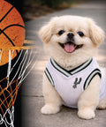 Small dog wearing NBA San Antonio Spurs Road Dog Jersey For Dogs And Cats In Team Color next to a basketball hoop graphic.