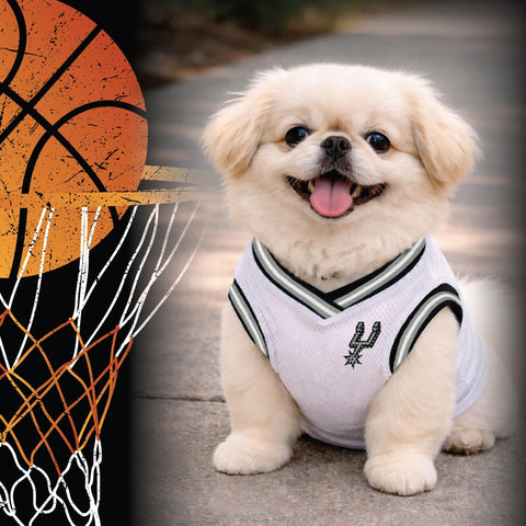 Small dog wearing NBA San Antonio Spurs Road Dog Jersey For Dogs And Cats In Team Color next to a basketball hoop graphic.