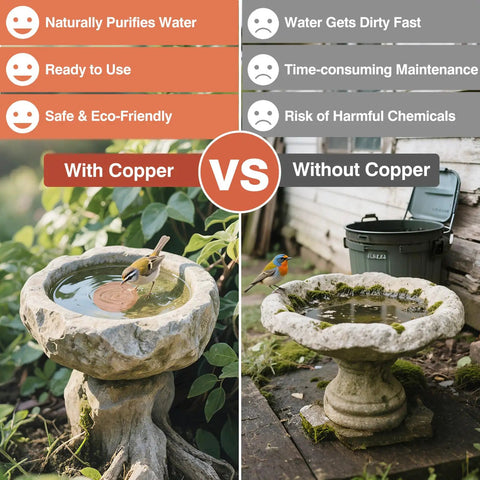 Comparison of two bird baths, one with Copper Disc Bird Bath Purifier Plate With Three Point Support For Outdoor Use Keeps Water Clean Naturally Purified By Pure Copper Action 99.99 Percent Pure Copper With Patina Layer To Help Backyard Birds Stay Hydrated, and one without.