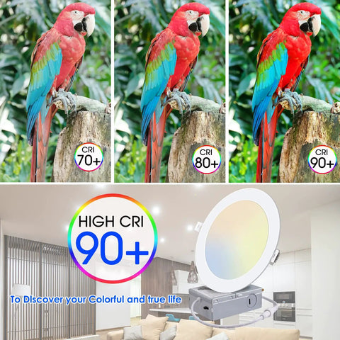 High CRI comparison with a red parrot and 6 Inch 3CCT Ultra-Thin LED Recessed Ceiling Light With Junction Box, 90+ CRI highlight
