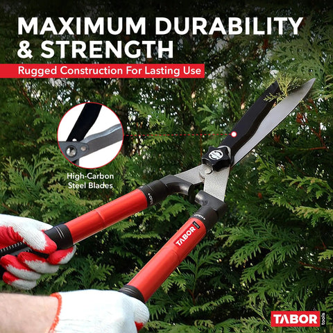 Telescopic Hedge Shears With Wavy Blade And Extendable Steel Handles for trimming tall hedges, shown in use outdoors.
