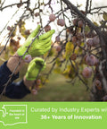 Green disposable latex-free glove on hand gripping plum tree branch; raised diamond grip, XLarge