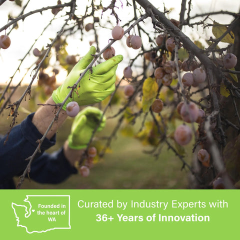 Green disposable latex-free glove on hand gripping plum tree branch; raised diamond grip, XLarge