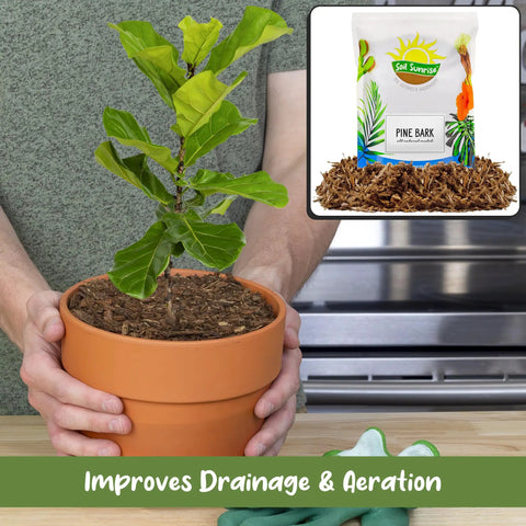 A bag of All Natural Pine Bark Mulch Nuggets For Indoor And Outdoor Pots And Planters Terrariums next to a potted plant.