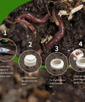 Step-by-step guide showing Twin Pack Underground Compost Bin Worm Farm For Outdoor Gardens And Veggie Patches Durable Plastic With Holes And Lid Ideal For Recycling Kitchen Scraps And Yard Waste In Backyard Greenhouse installation process with worms in soil, and compost bin setup steps.