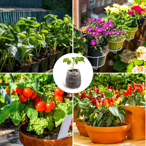 Collage of flowers and vegetables grown using 50 Pack 35mm Seed Starter Peat Pellets For Seedlings Easy Transplanting Garden Soil Pods