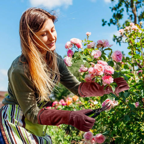 Woman using Thorn Proof Long Gardening Gloves For Women And Men Heavy Duty Pruning Gauntlets For Roses Blackberries Cactus And Holly