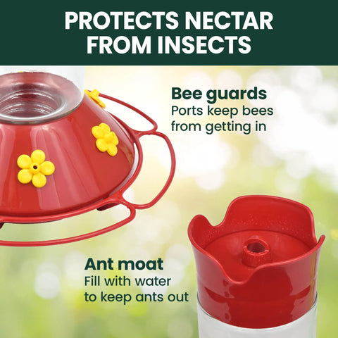 Glass Hummingbird Feeder For Outdoors Hanging, 30 Oz Nectar Capacity, Ant And Bee Guarded Red Bird Feeder, Easy Fill Wide Mouth Bottle