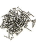 80-piece marine-grade stainless steel truss-head screws, 10 x 1-1/4 in, for dock bumper installation