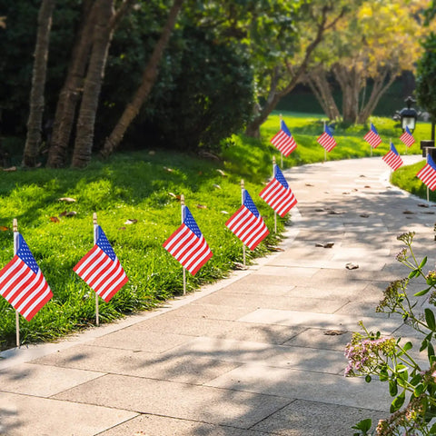 Sidewalk lined with 40 Pack Small American Flags On Sticks 4 By 6 Inch Mini Flags For 4th Of July Bash Memorial Day Decorations Patriotic Party Decor Hand Held Wooden Stick Kid Safe on grassy path