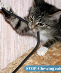 Cat playing with Expandable PET Braided Wire Loom Sleeve 300 Feet In One Quarter Inch One Half Inch And Three Eighths Inch Diameters