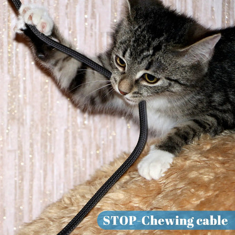 Cat playing with Expandable PET Braided Wire Loom Sleeve 300 Feet In One Quarter Inch One Half Inch And Three Eighths Inch Diameters