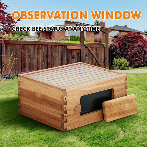 8 Frame Deep Langstroth Beehive Kit With Clear Window Panels Unassembled in garden setting