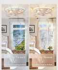 Total Game Changer Caged Ceiling Fan With Bright Light And Remote showing summer cooling and winter reverse airflow modes.
