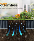 Galvanized Raised Garden Bed With Two Easy Installation Options For DIY Enthusiasts, Measures 101 By 36 By 18 Inches, Heightened Planter Box For Deep Rooted Vegetables And Flowers, Outdoor Use In Dark Grey with nutrient absorption illustration.
