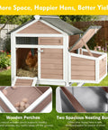 Cozy Two Chickens Outdoor Wooden Chicken Coop With Expandable Run Nesting Box And Pull Out Tray showing nesting eggs.