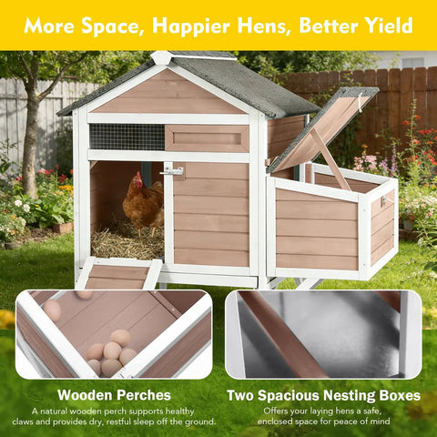 Cozy Two Chickens Outdoor Wooden Chicken Coop With Expandable Run Nesting Box And Pull Out Tray showing nesting eggs.