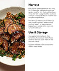 Cooked eggplant slices in a bowl with grains and vegetables, recipe instructions on the side
