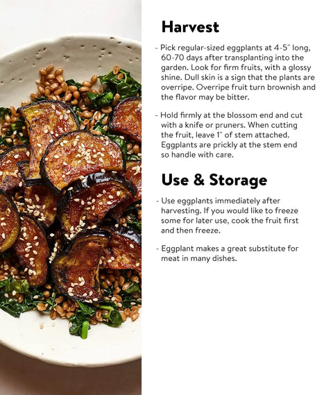 Cooked eggplant slices in a bowl with grains and vegetables, recipe instructions on the side