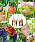 Three Pack Stainless Steel Garden Shears Pruning Set With Heavy Duty Bypass Serrated And Straight Blades for trimming plants