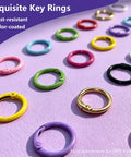 72 Pcs Vibrant Key Rings Bulk Set Multi Color Bag Charms Keychain Kit Sturdy Zinc Alloy DIY Supplies For Bags Durable 12 Shades Gold Silver Purple Pink Red Orange Yellow White Green Black Awesome For Creative Styling Organization Storage. Colorful round zinc alloy key rings on purple background