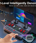 Podcast Setup Bundle For Two Mics TikTok Live Streaming Content Creator Kit with audio interface mixer and denoise feature.