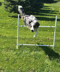 Dog jumping over Ultimate Dog Agility Jump Set For All Sizes, Adjustable Single Bar PVC Jumps in a grassy field