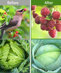Two Pack Ultra Fine Garden Netting 10x33Ft See Through Insect Barrier For Protecting Veggies Fruits Flowers And Plants From Birds And Pests While Letting Air Water And Sunlight Pass Through