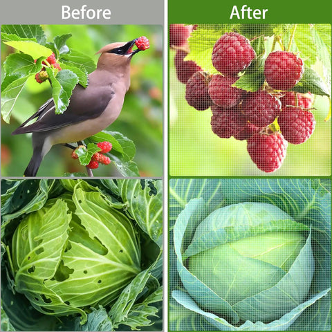 Two Pack Ultra Fine Garden Netting 10x33Ft See Through Insect Barrier For Protecting Veggies Fruits Flowers And Plants From Birds And Pests While Letting Air Water And Sunlight Pass Through