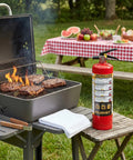 ABC Fire Extinguisher For Home And Vehicle, Two And A Half Pound Compact Fire Extinguisher For Kitchen, Garage, Truck, Car, Boat, Red Two Pack next to a grill in a backyard setting.
