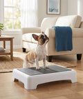 Dog on portable puppy training platform with non skid surface for indoor and outdoor dog agility practice slip resistant plastic board for small breeds safe obstacle training tool for early obedience and fun