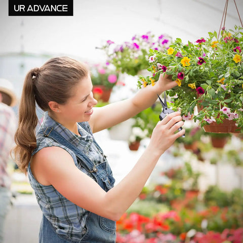 Woman using Six Point Five Inch Pruning Shears Set, Two Pack Garden Scissors with stainless blade on hanging plant in greenhouse.