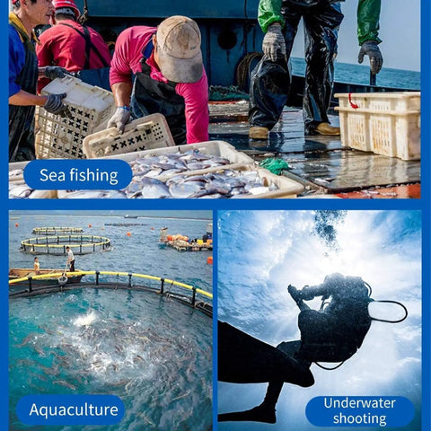 Images of sea fishing, aquaculture, and underwater shooting illustrating marine activities.