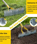 2 In 1 Thatch Rake And Leaf Rake Stainless Steel Lawn Dethatcher With 19 Tines and 15 Inch Head shown in use