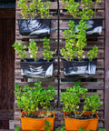 Vertical garden with drip irrigation system using 30 Piece Drip Irrigation Tee Connectors for Quarter Inch Tubing.