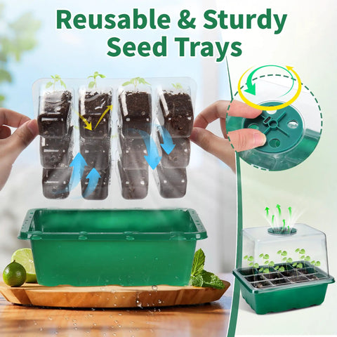 4 Pack Seed Starter Tray Kit With Grow Lights And Heat Mat 48 Cell Germination System With Humidity Dome setup illustration