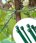 4 Inch 3mm Dark Green Nylon Garden Cable Zip Ties Self Locking Twist Ties securing plants to a trellis in a garden setting