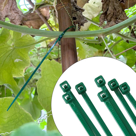 4 Inch 3mm Dark Green Nylon Garden Cable Zip Ties Self Locking Twist Ties securing plants to a trellis in a garden setting