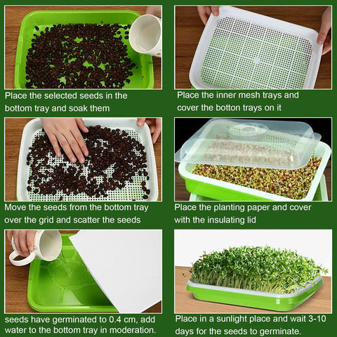 Six Pack Seed Sprouting Trays With Drain Holes BPA Free Plastic Germination Trays For Microgreens Wheatgrass Sprouting kit steps