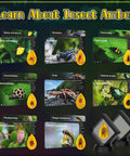 Amber Dig Kit For Kids Hands On Excavation With 8 Insect Specimens Learn Geology And Biology Through STEM Fun Great Educational Gift For Ages 6 8 12 14 And Party Favors. educational insect specimen cards and amber blocks for kids