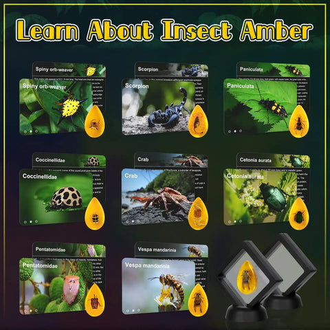 Amber Dig Kit For Kids Hands On Excavation With 8 Insect Specimens Learn Geology And Biology Through STEM Fun Great Educational Gift For Ages 6 8 12 14 And Party Favors. educational insect specimen cards and amber blocks for kids