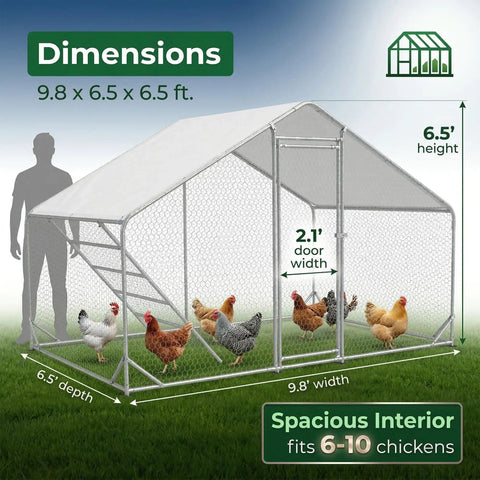 Large Metal Chicken Run Walk-In Coop 9.8 Ft Long By 6.5 Ft Wide By 6.5 Ft High For 15-20 Hens with white tarp cover.