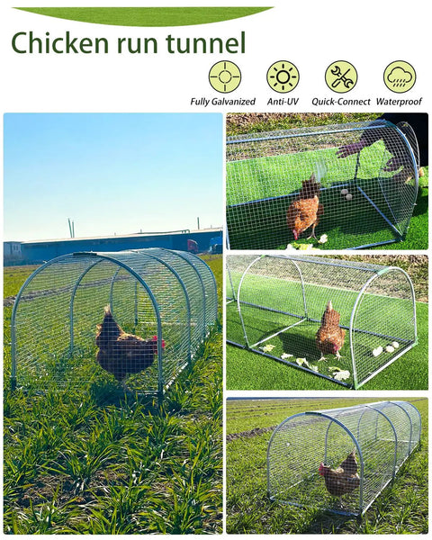Outdoor Metal Chicken Run Tunnel For Eight To Twelve Chickens Predator Proof Easy Install Tough As Nails Durable Coop Accessory For Chickens Ducks And Rabbits 118 Inch Long 26 Inch Wide 23 Inch High, shown in green backyard with chickens inside