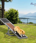 Wooden Dog Agility Seesaw For Training And Exercise, outdoor ready, gray seesaw with a dog walking, in a garden setting
