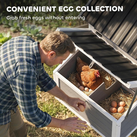 82 Inch Wooden Chicken Coop For 2 To 3 Hens Backyard Hen House With Nesting Box Pull On Tray Ramp And Roosting Bars Large Run Space All Weather Roof And Easy Clean Design In Gray, man collecting eggs